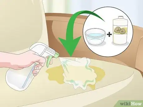 Image titled Remove Cat Spray or Pee from a Leather Couch Step 2