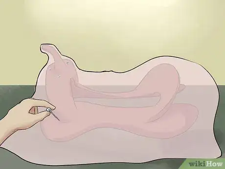 Image titled Rawhide a Saddle Tree Step 4