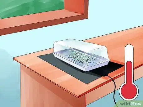 Image titled Grow Onions from Seed Step 5