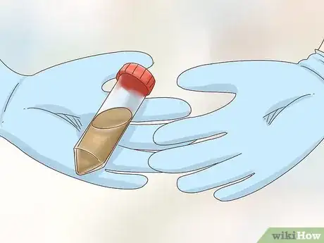 Image titled Treat Diarrhea in Rabbits Step 3