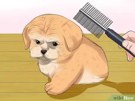 Image titled Bathe a Shih Tzu Puppy Step 13