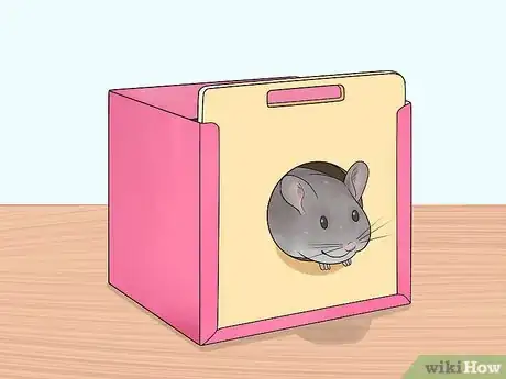 Image titled Choose Hide Houses for a Chinchilla Step 5