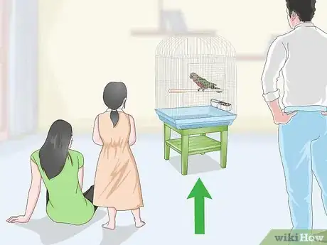 Image titled Know if a Hawk‐Headed Parrot Is Right for You Step 9