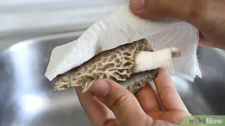Image titled Prepare Mushrooms Step 7