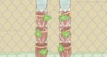 Build a Vertical Garden from Soda Bottles