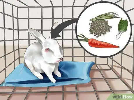 Image titled Choose Rabbit Food Step 1