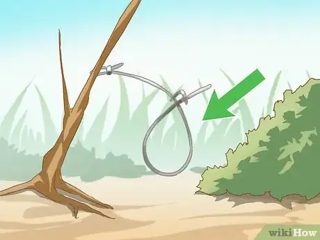 Image titled Make a Coyote Trap Step 9