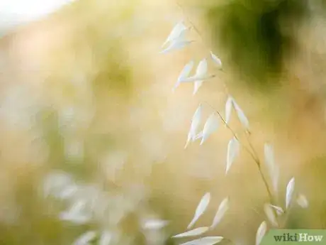 Image titled Enjoy a Peace Holiday Step 5