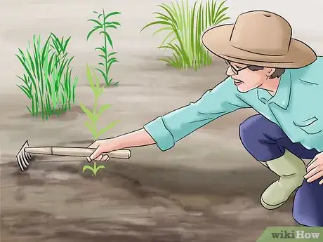 Image titled Lose Weight Gardening Step 8