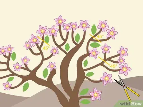 Image titled Prune Desert Rose Step 08