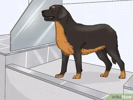 Image titled Use a Rotary Tool to Trim Your Pet's Nails Step 9