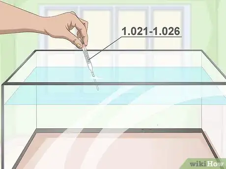 Image titled Start a Saltwater Reef Tank Step 8