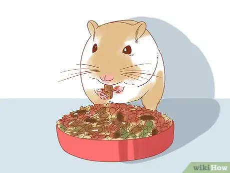 Image titled Diagnose Heart Failure in Gerbils Step 14