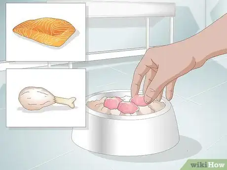 Image titled Put Your Cat on a Limited Ingredient Diet Step 10