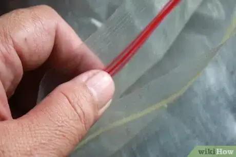 Image titled Freeze Food Step 5