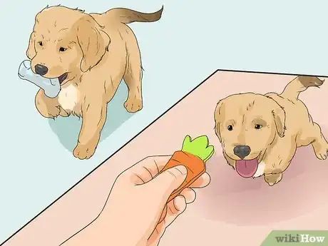Image titled Introduce a New Puppy Step 11