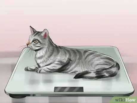 Image titled Take Care of a Li Hua Cat Step 9