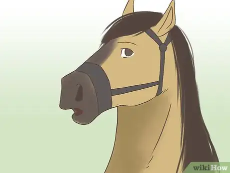 Image titled Get a Horse Fit Step 5