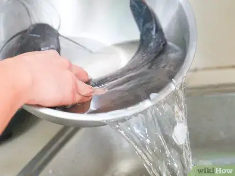 Image titled Freeze Fish Step 5
