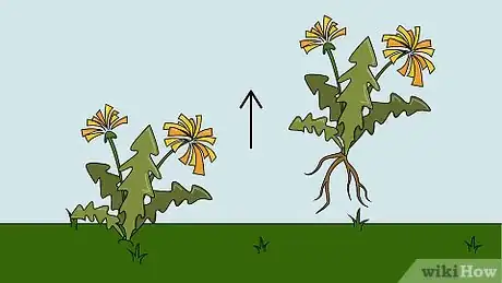 Image titled Grow Grass Step 19