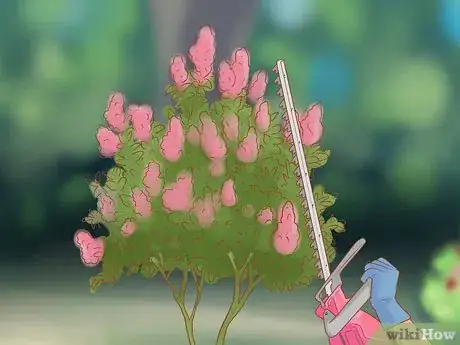 Image titled Prune Flowers Step 10