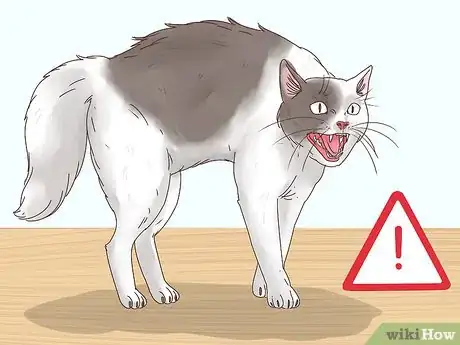 Image titled Countercondition a Cat Step 2