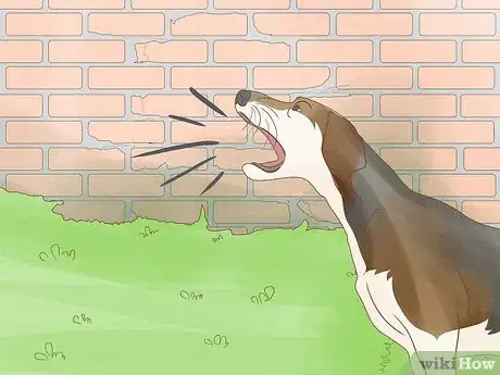 Image titled Identify an American English Coonhound Step 11