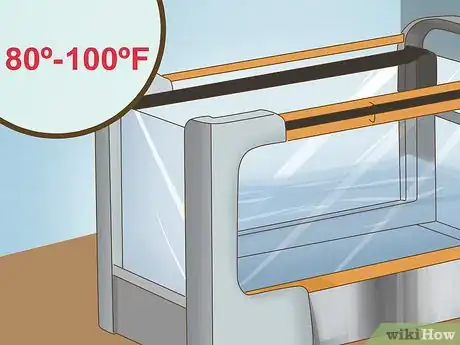 Image titled Exercise a Senior Dog on a Water Treadmill Step 5