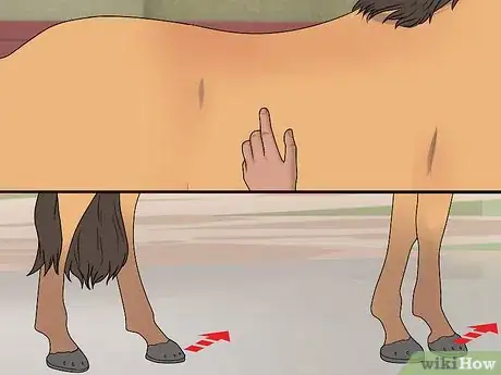 Image titled Stop a Horse Rearing Step 8