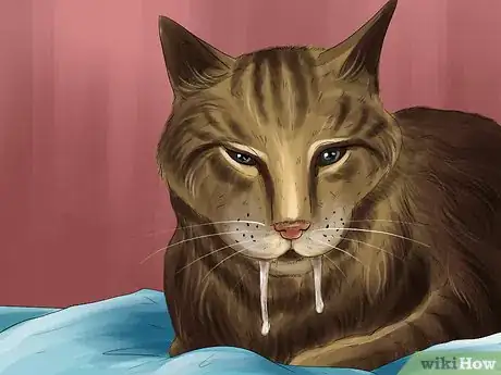 Image titled Protect Your Cat in Summer Step 14