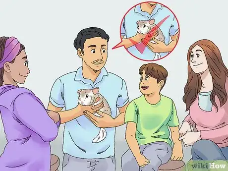 Image titled Manage Broken Bones in Chinchillas Step 13