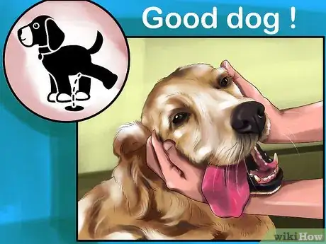Image titled Housebreak a Dog with Positive Reinforcement Step 1