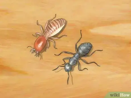 Image titled Control Ants Step 22