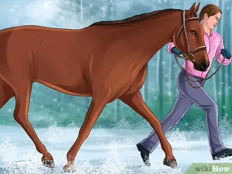 Image titled Exercise Horses in Cold Weather Step 5