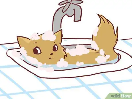 Image titled Bathe a British Shorthair Step 9