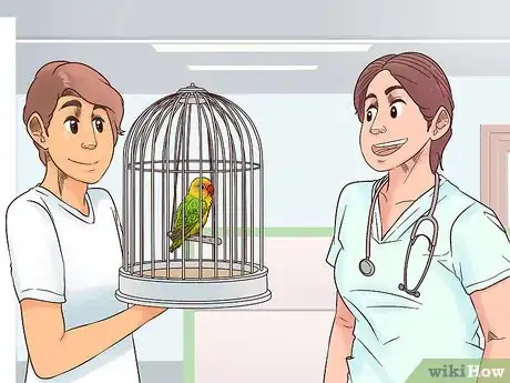 Image titled Treat Lovebirds with Psittacine Beak and Feather Disease Step 7