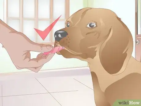 Image titled Clicker Train a Dog to Bow Step 11