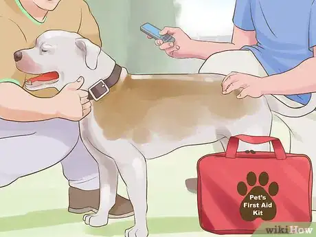 Image titled Include Your Dog in an Emergency Disaster Plan Step 9