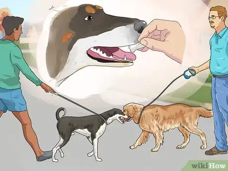 Image titled Deal with Aggressive Dogs when They Fight Step 12