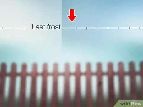 Image titled Grow Moss Rose Step 1