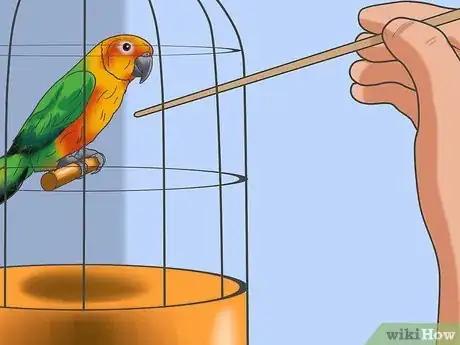 Image titled Tame a Bird Step 6