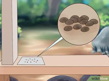 Image titled Grow Flowers from Seed Step 7