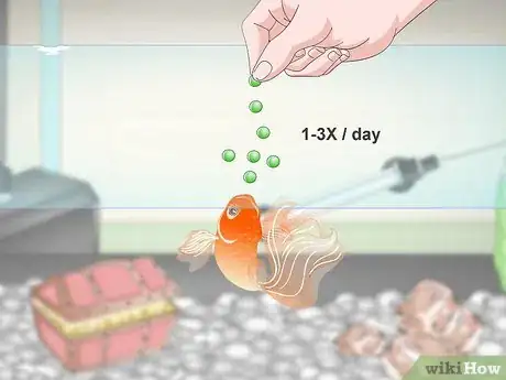 Image titled Care for Fancy Goldfish Step 19