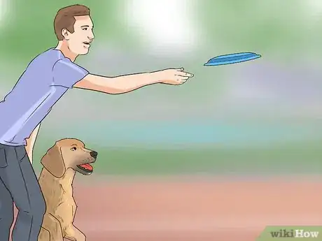 Image titled Have a Fun Day with Your Dog Step 6