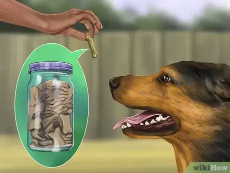 Image titled Approach an Unfamiliar Dog Step 17