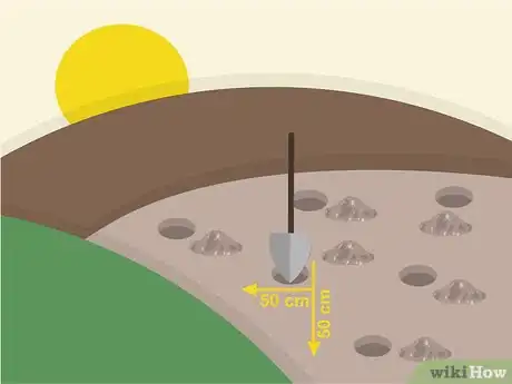 Image titled Grow Lanzones Step 10