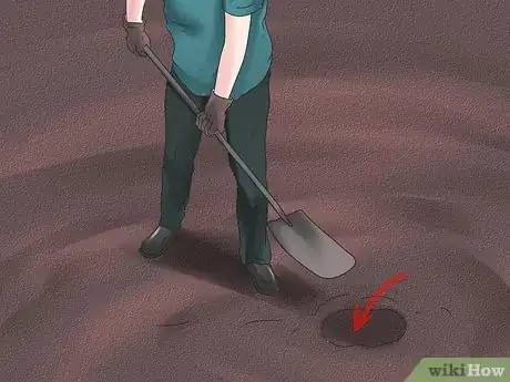 Image titled Grow Poppies Step 20