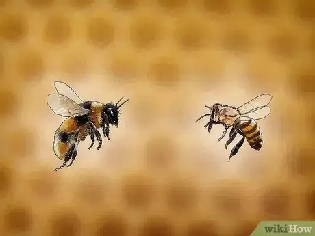 Image titled Buy Honey Bees Step 1