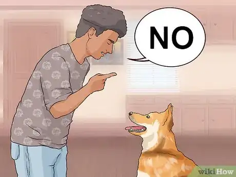 Image titled Handle Dog Begging for Food Step 4