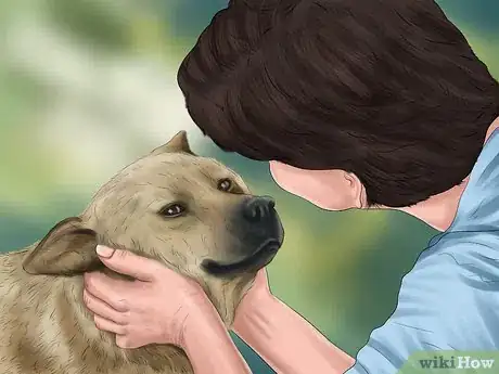 Image titled Approach an Unfamiliar Dog Step 20
